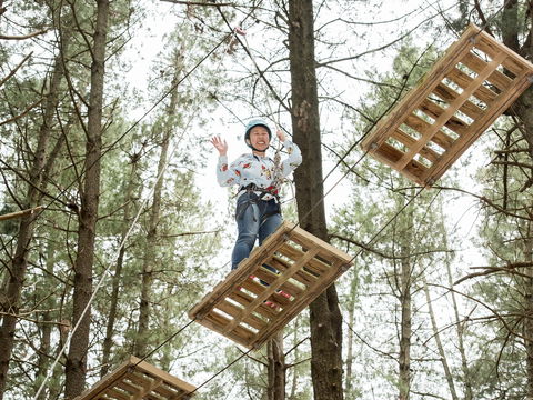 Mount Lofty Adventure Hub - Accommodation BNB 2