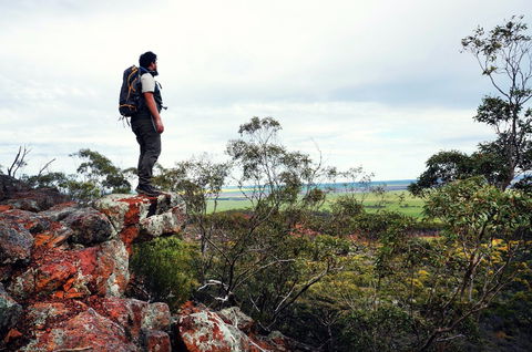 Mount Matilda - Accommodation BNB 0