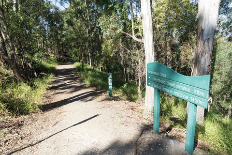 Mt Coot-tha Tourist Drive - Accommodation BNB 0