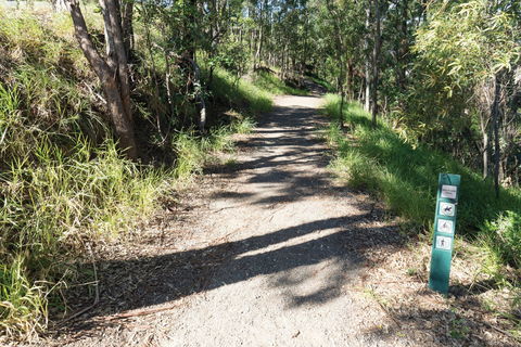 Mt Coot-tha Tourist Drive - Accommodation BNB 2