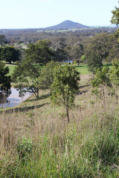 Mt Piper Nature Conservation Reserve - Accommodation BNB 1
