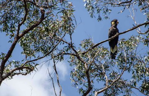 Mummel Gulf National Park - Accommodation BNB 0