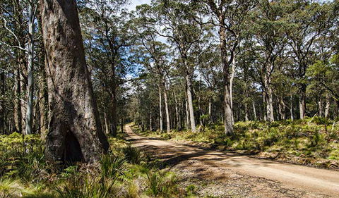 Mummel Gulf National Park - Accommodation BNB 1