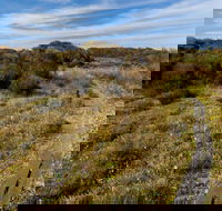 Murramarang Aboriginal Area Walking Track - Accommodation BNB