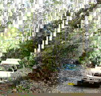 Orara Escarpment 4WD Touring Route - Accommodation BNB
