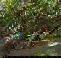 Palms picnic area - Accommodation BNB