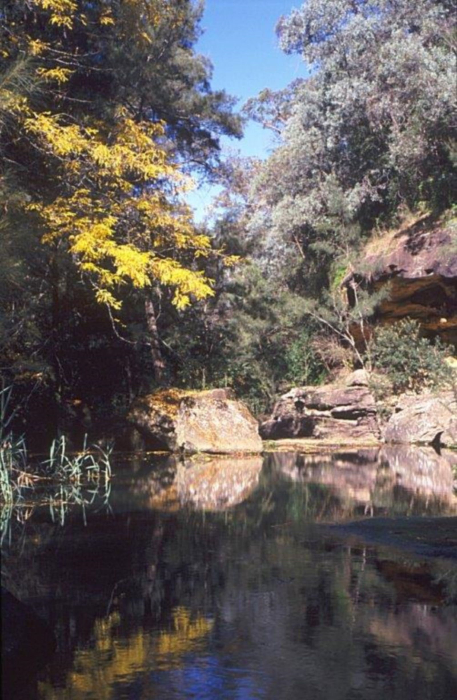 Pheasants Nest NSW Accommodation BNB
