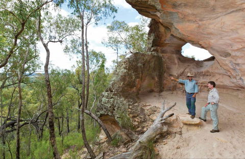 Pilliga National Park - Accommodation BNB 0