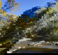 Pipers River Board Walk - Accommodation BNB