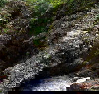 Potoroo Falls walk - Accommodation BNB