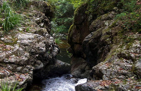 Potoroo Falls Walk - Accommodation BNB 0