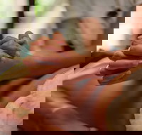 Prani Glow Day Spa - Accommodation BNB