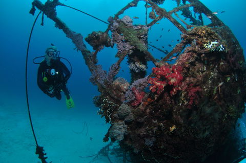 Severance Shipwreck Dive Site - Accommodation BNB 0