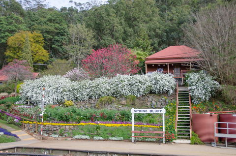 Spring Bluff Railway Station - Accommodation BNB 1