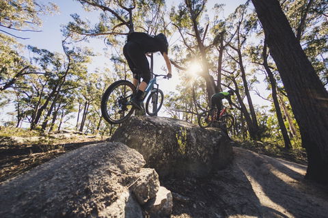 St Helens Mountain Bike Trails - Accommodation BNB 1