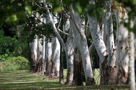 Teven Valley Golf Course - Accommodation BNB 1