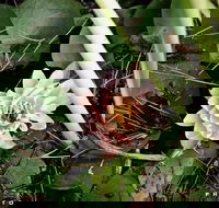 The Beach Bible Garden - Accommodation BNB