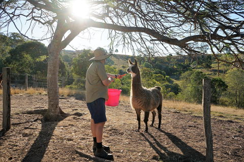 The Llama Farm - Accommodation BNB 2