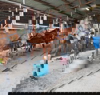 The Equine Club - Accommodation BNB