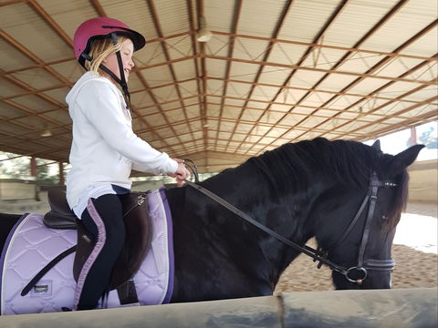 The Equine Club - Accommodation BNB 1