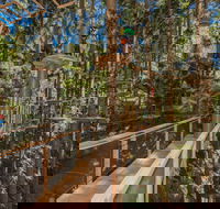 TreeTops Sydney The Hills - Accommodation BNB