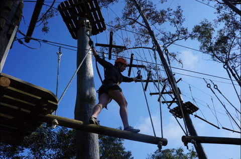 Trees Adventure Nowra Park - Accommodation BNB 0
