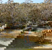 Wild Valley Art Park - Accommodation BNB