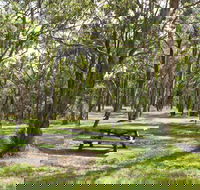 Wollomombi Gorge and Falls Picnic Area - Accommodation BNB