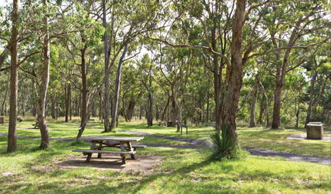 Wollomombi Gorge And Falls Picnic Area - Accommodation BNB 0