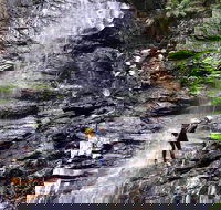 Full-Day Canyoning Experience at Stunning Empress Canyon - Accommodation BNB
