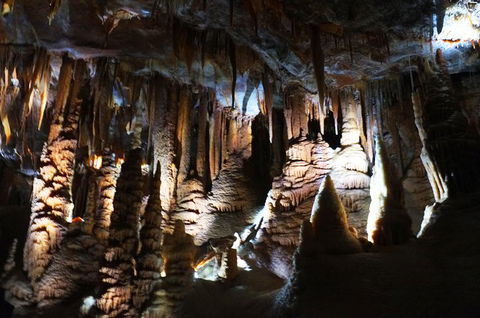 Jenolan Caves: Orient Cave Tour - Accommodation BNB 2