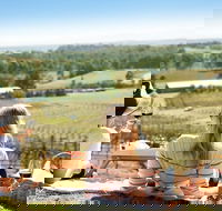 Audrey Wilkinson Vineyard Picnic with Wine Masterclass Tasting - Accommodation BNB