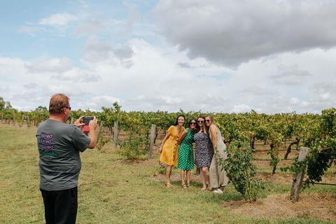 Lovedale & North Pokolbin, Hunter Valley Hop-On And Hop-off Bus Tour - Accommodation BNB 3