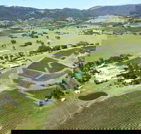 Helicopter Tour of Hunter Valley in New South Wales with Lunch - Accommodation BNB