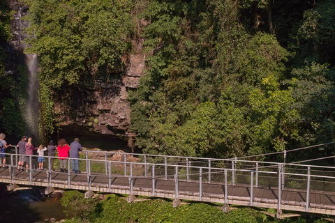 Rainforest & Waterfall Experience - Accommodation BNB 4