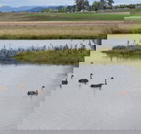 Beardy Waters Dam and Woodlands - Accommodation BNB