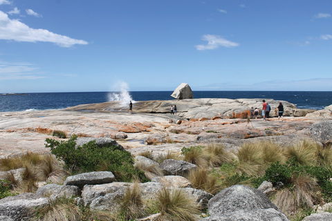 Bicheno Blowhole - Accommodation BNB 1