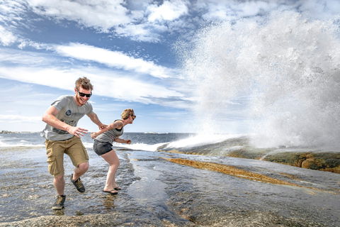 Bicheno Blowhole - Accommodation BNB 2