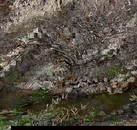 Brisbane Ranges National Park - Accommodation BNB