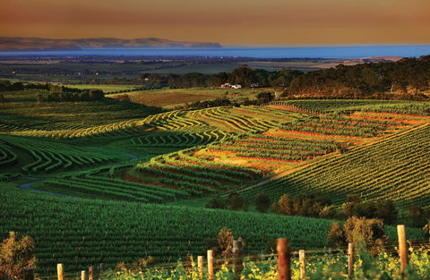 Mclaren Vale - Accommodation BNB 1