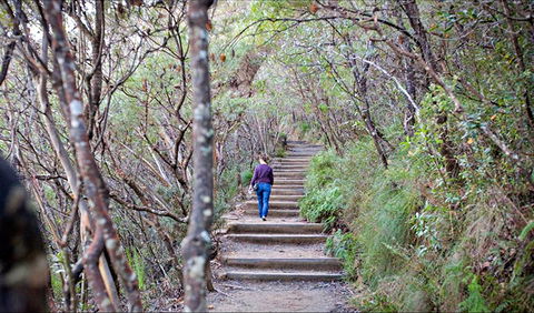 Princes Rock Walking Track - Accommodation BNB 0