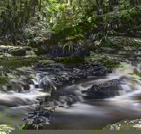 Protesters Falls Walking Track - Accommodation BNB
