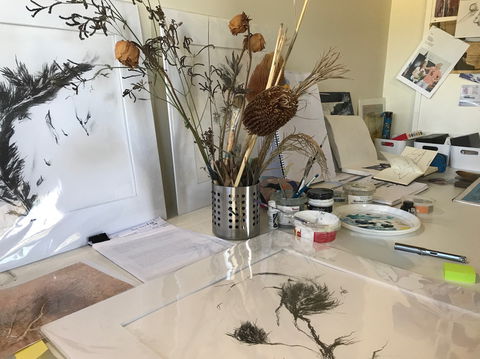 Sandra Blackburne Art Studio And Gallery - Accommodation BNB 1