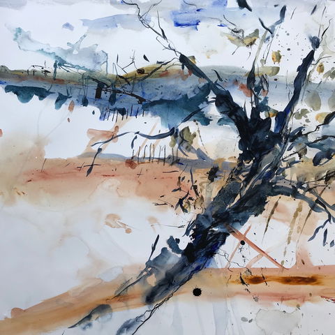 Sandra Blackburne Art Studio And Gallery - Accommodation BNB 2