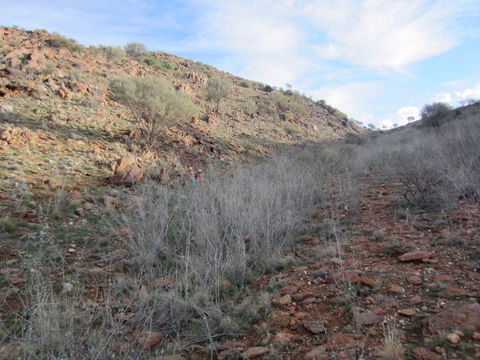Sundown Nature Trail - Accommodation BNB 2