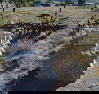 Wangaraleednie Monument  Ruins - Accommodation BNB