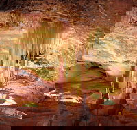 Jenolan Caves Ribbon Cave Tour - Accommodation BNB