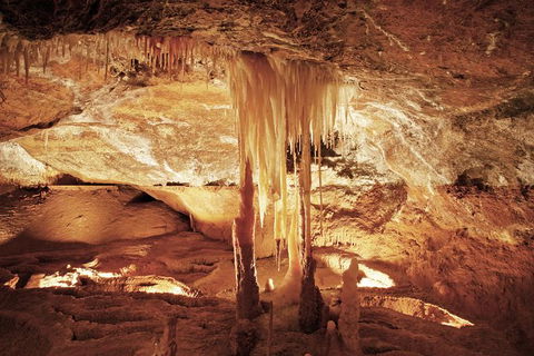 Jenolan Caves: Ribbon Cave Tour - Accommodation BNB 0