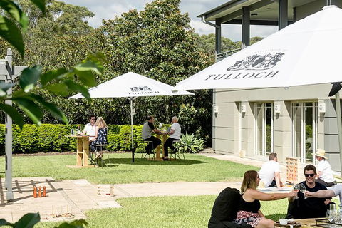 Tulloch Wines- Mystery Wine Tasting Experience With Local Cheese And Charcuterie - Accommodation BNB 5