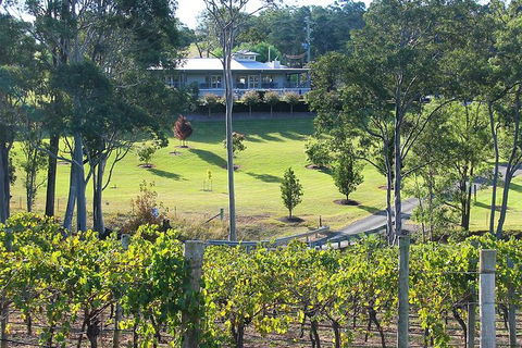 Tulloch Wines- Mystery Wine Tasting Experience With Local Cheese And Charcuterie - Accommodation BNB 9